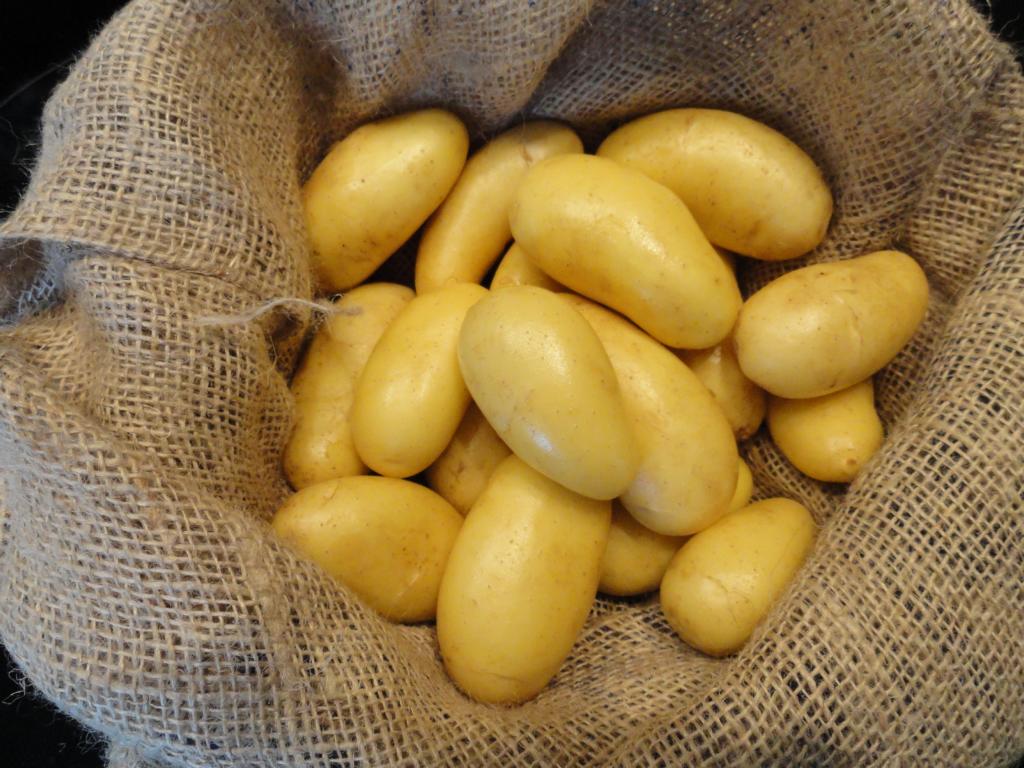 Mehr zur neuen Premium-Sorte im Video