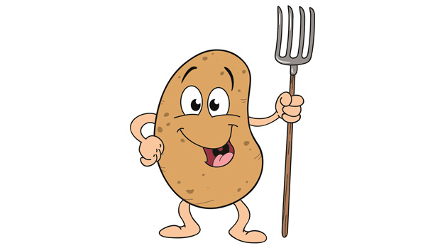 Tipps und Empfehlungen zum Anbau